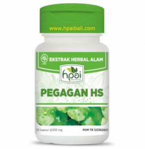 pegagan hs hpai
